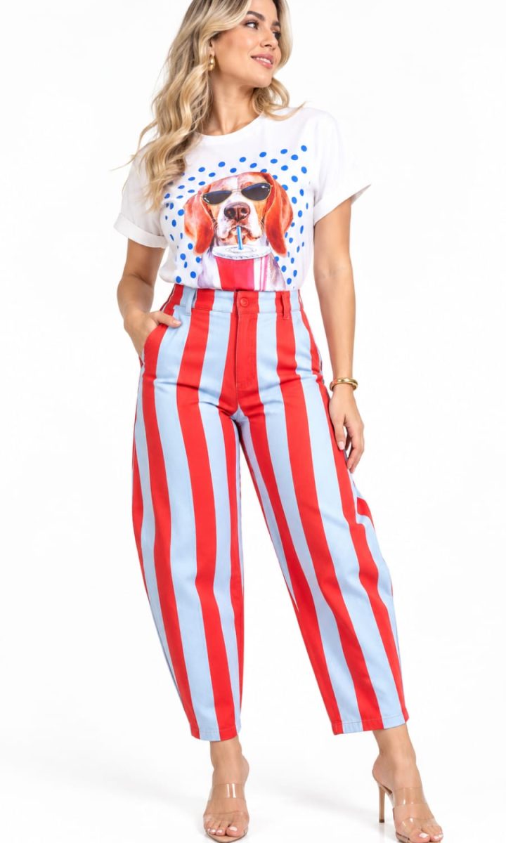 Jeans Stripes Blue